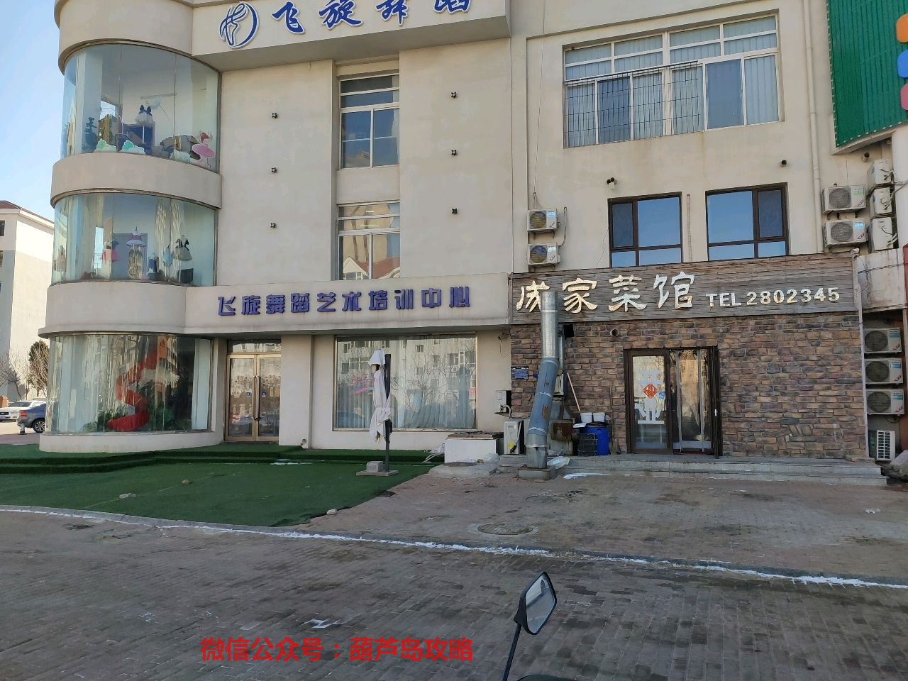 飞旋舞蹈艺术培训.png