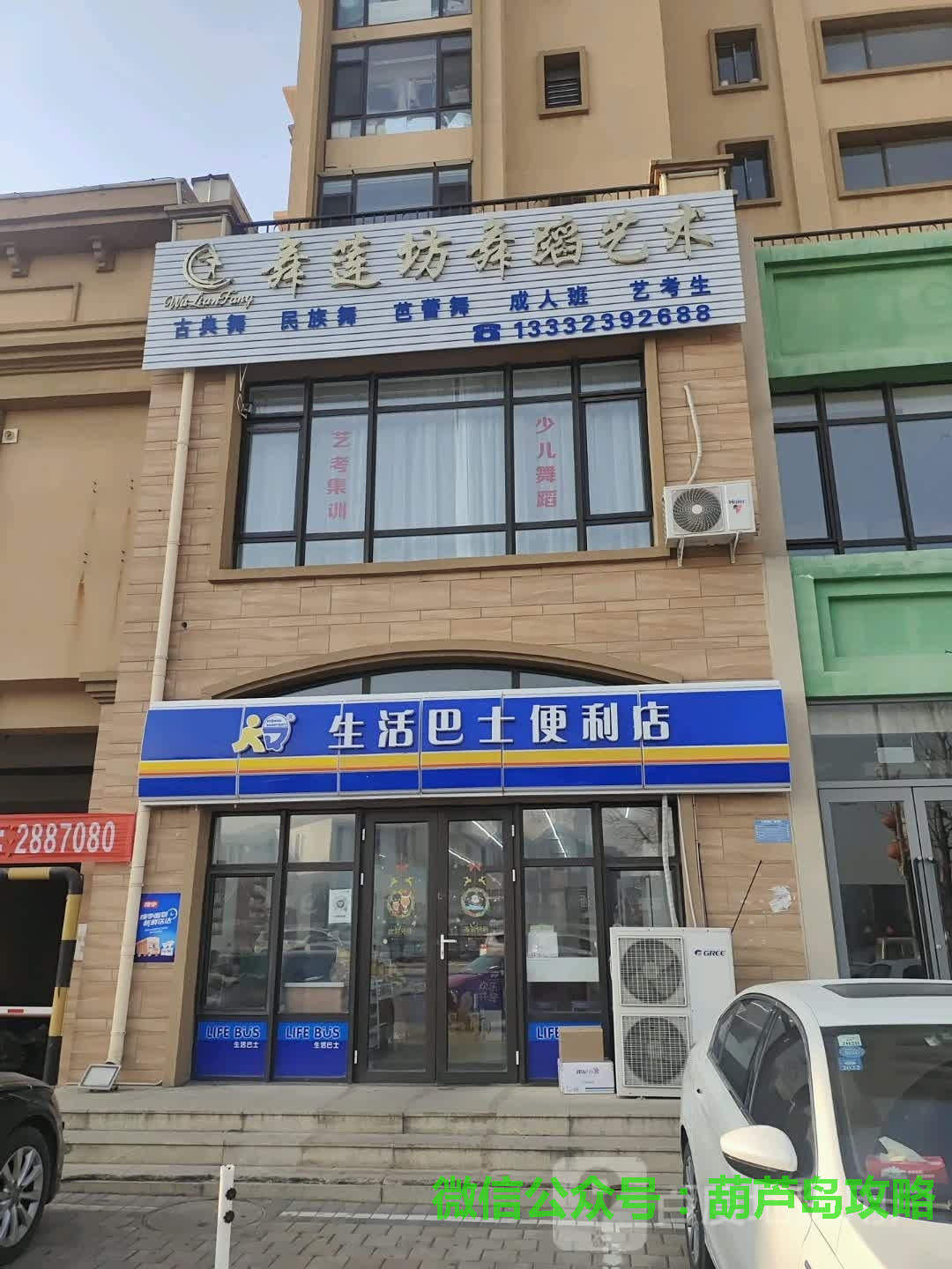 舞莲坊舞蹈艺术.png