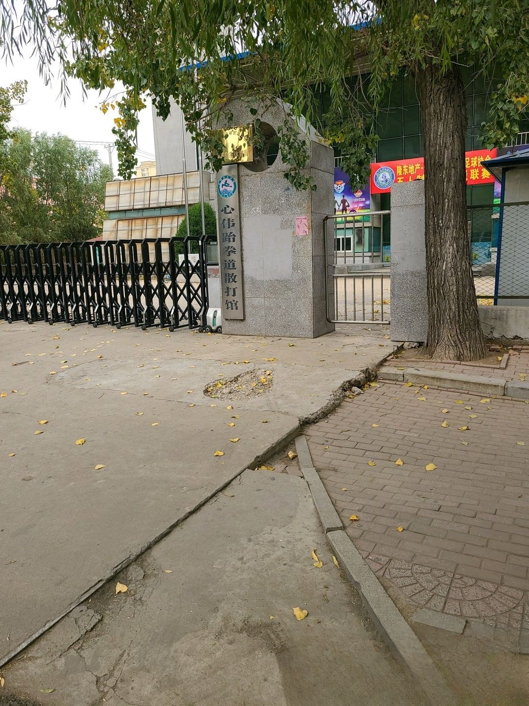 心伟跆拳道散打馆(1).jpg