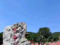 它是一座冷门的千年古寺：藏于孤岛之上，一颗菩提树与古刹相伴