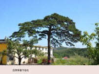 小虹螺山龙泉寺