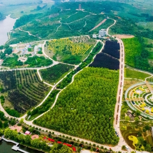 [兴城]龙薮湾旅游度假区：乡村旅游打卡地